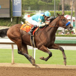 Belmont Stakes Preview: Will American Pharoah Win the Triple Crown?