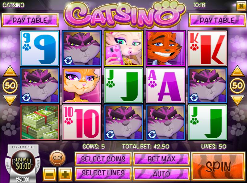 catsino slot