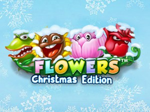 Flowers Christmas Edition