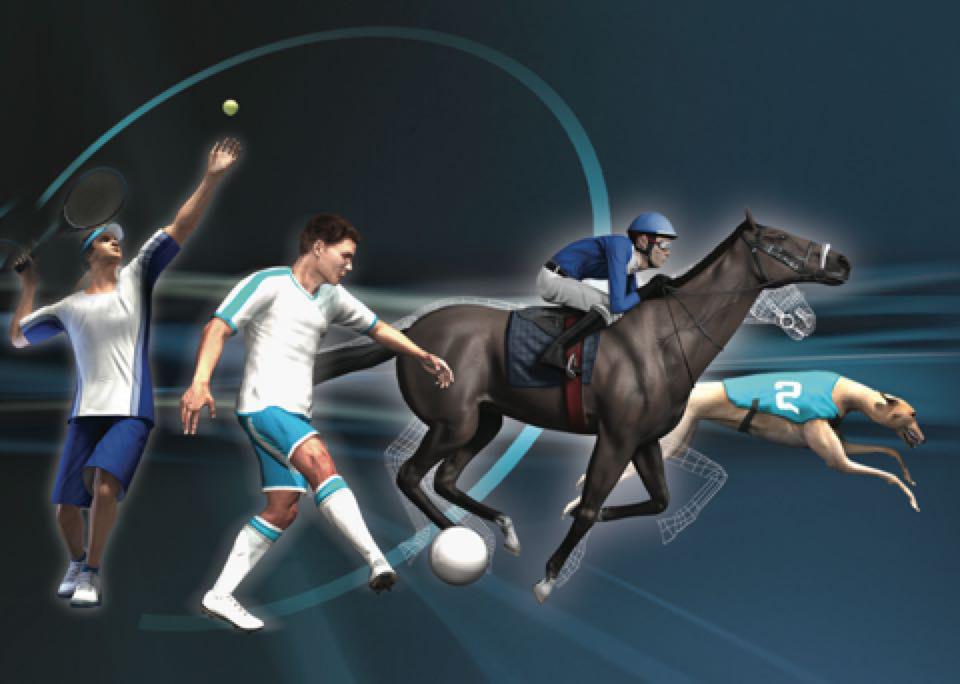 Many Gambling Sites Offer Virtual Sports Online Gambling Bible